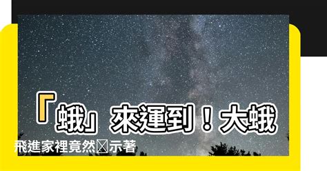 蛾飛進房間|【大蛾飛進家裡】大蛾飛進家裡！當心「這兩件事」將發生！